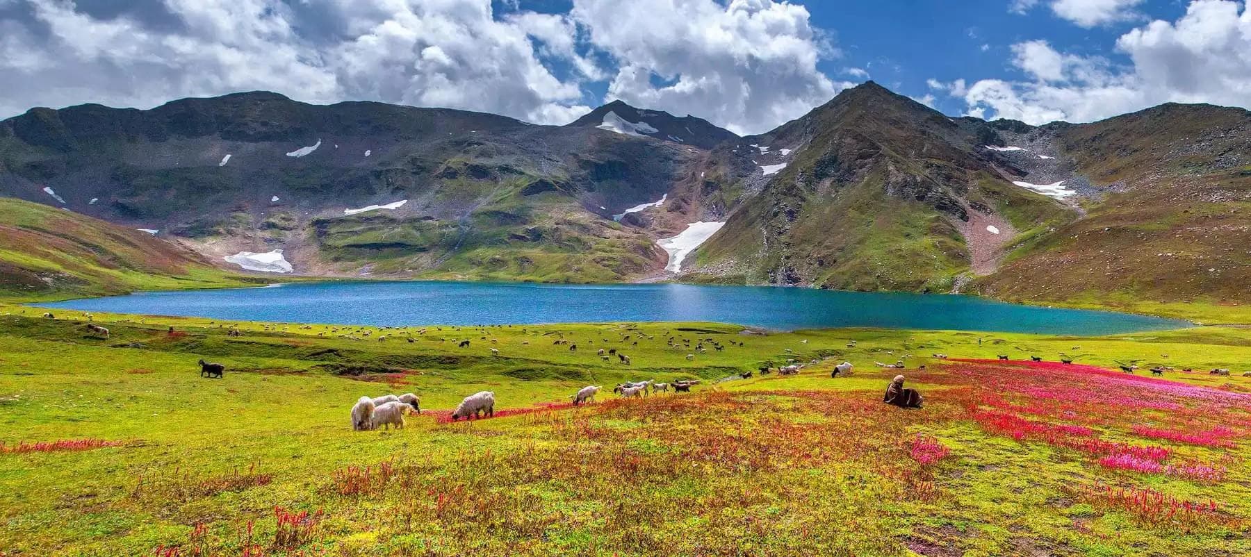 Deosai National Park